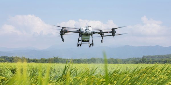 Послуги внесення ЗЗР агро дронами xag-p100 Замовляйте за н. тел: (050) 555 53 25